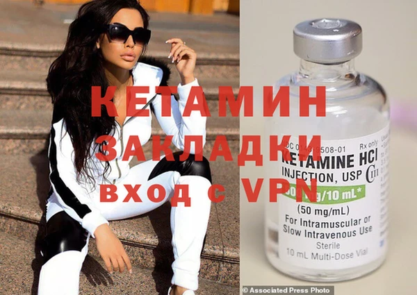 шишки Абаза