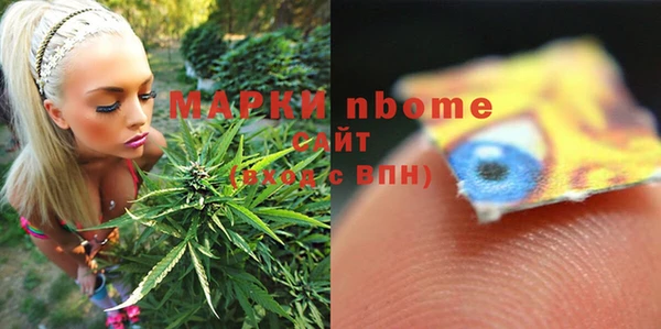 шишки Абаза