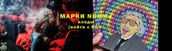 прущие грибы Абинск