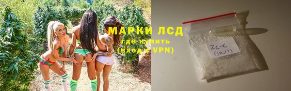 шишки Абаза