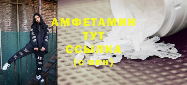 прущие грибы Абинск