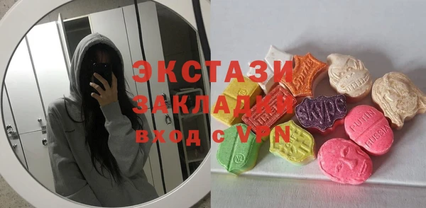 шишки Абаза