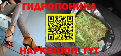 винт Гатчина