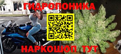 Альфа ПВП Гай