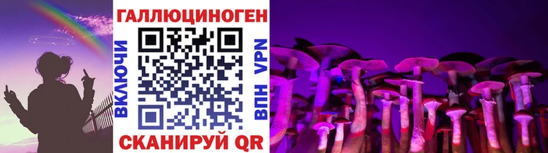 Галлюциногенные грибы GOLDEN TEACHER  Каменка 